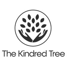 web-design-hobart-local-seo-services-the-kindred-tree-she-rocks-digital web design hobart and local seo services for the kindred tree with she rocks digital
