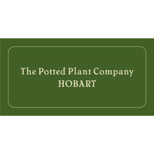 web-design-hobart-local-seo-services-the-potted-plant-company-she-rocks-digital (1) web design hobart and local seo services for the potted plant company from she rocks digital